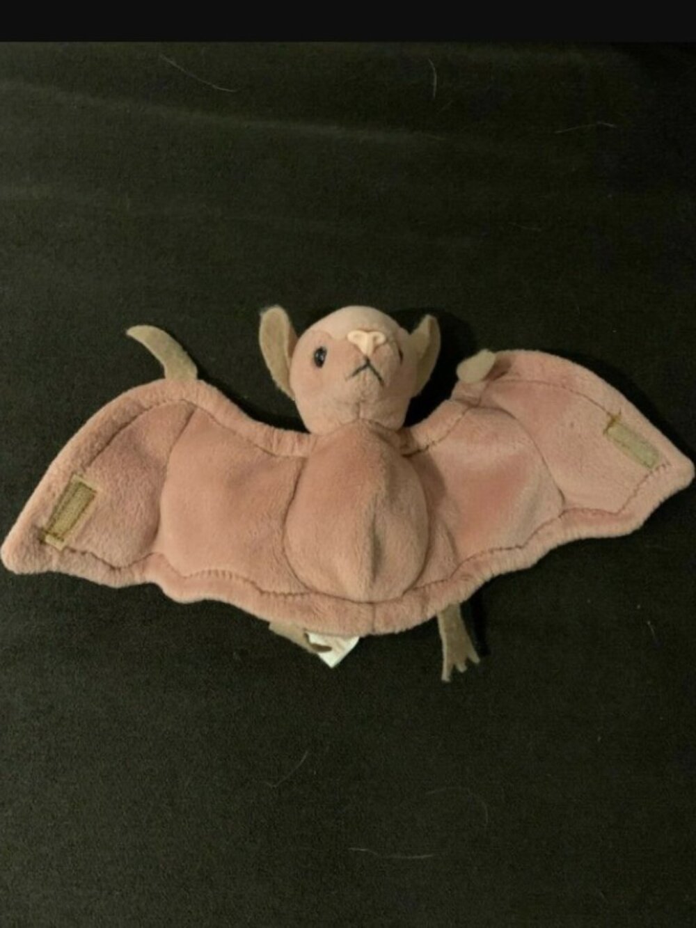Beanie Baby - Batty